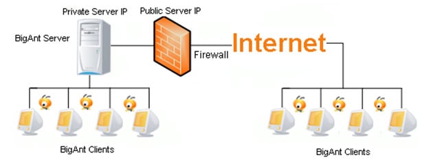 BigAnt Internet & Lan Support