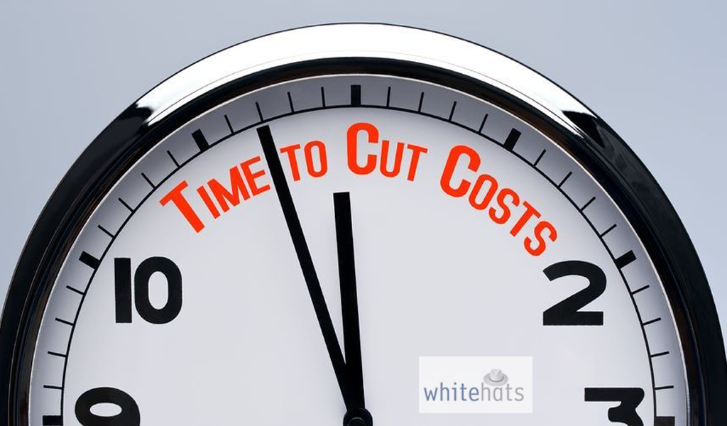 More Cost Savings-IT support Company in Dubai-WhitehatsMe