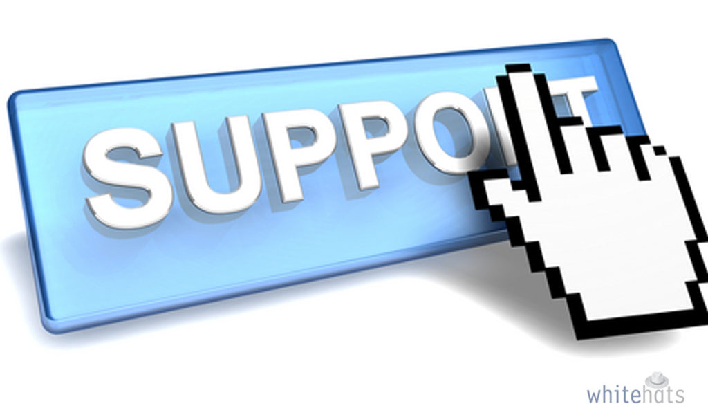 Remote Services Offered-IT support Company in Dubai-WhitehatsMe