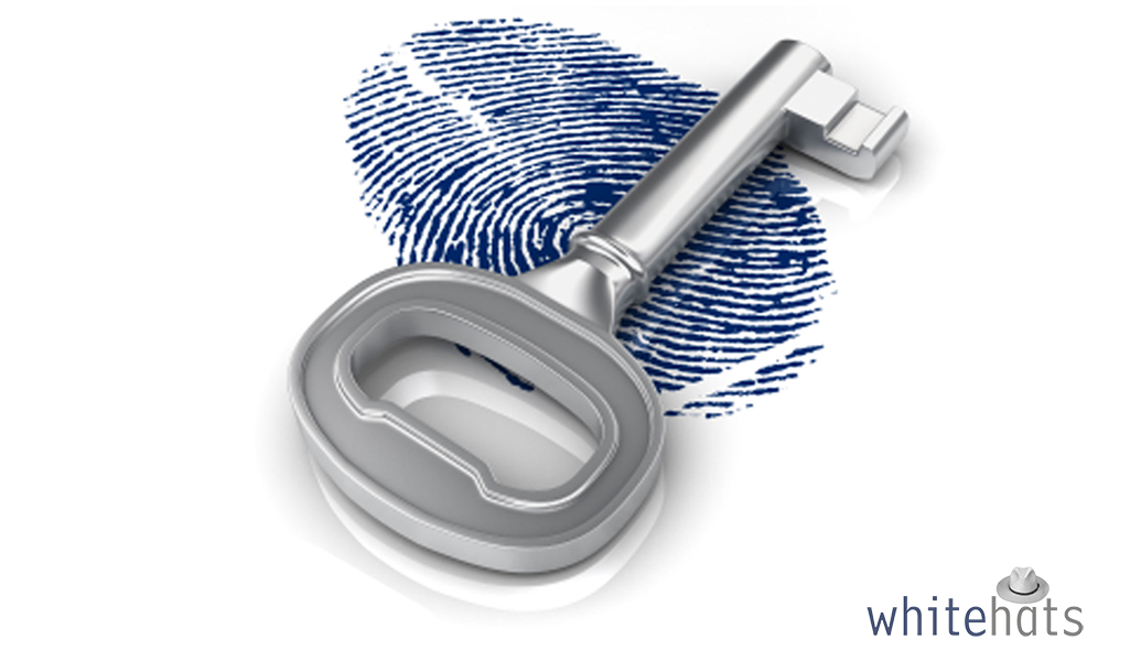 Safeguarding of Important Information-network security solutions in dubai-WhitehatsMe